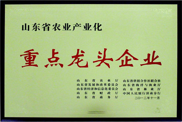 山東省龍頭企業